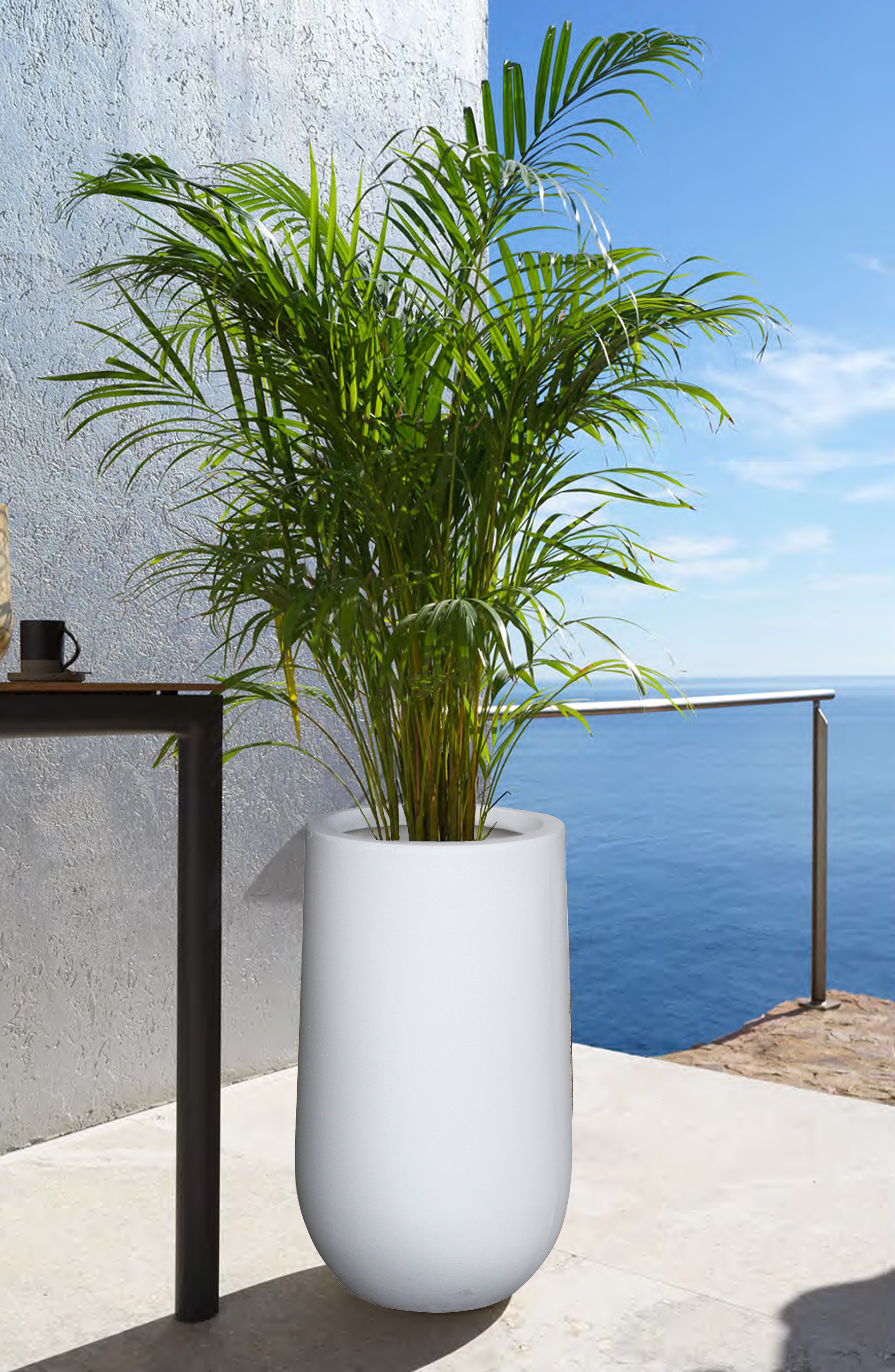 QUANZHOU XIECHUANG GARDEN CO., LTD – portarretrato 3
