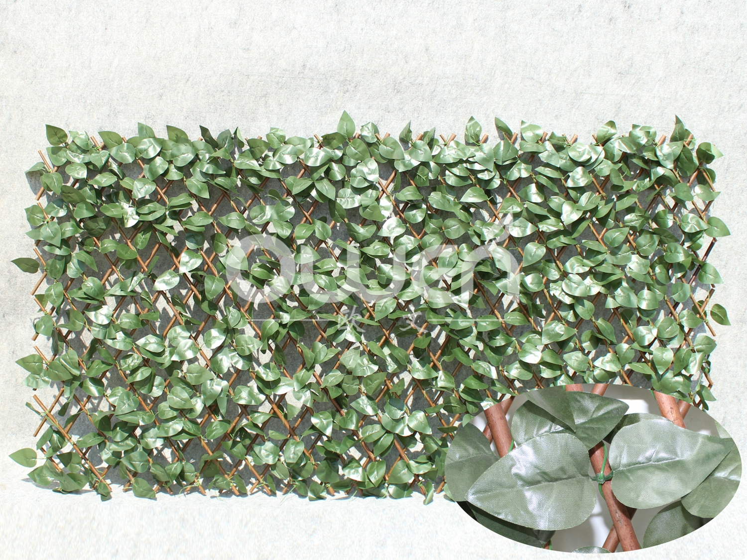 Willow trellis leaves