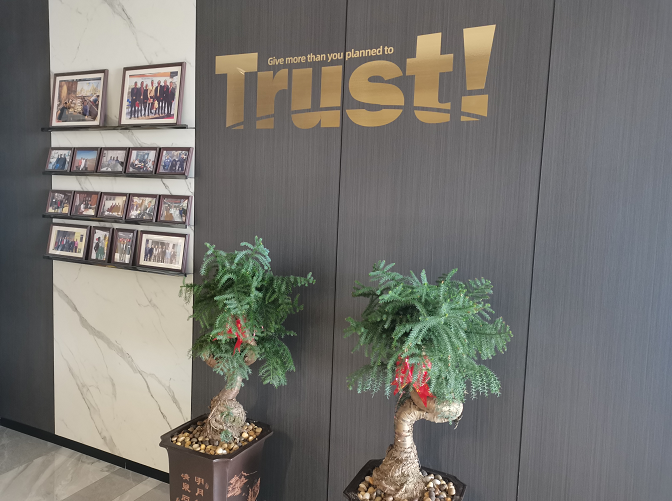 Yiwu Feisen Trading Co., Ltd. – cotton cushions 2