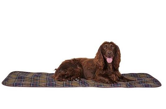 Pet mat