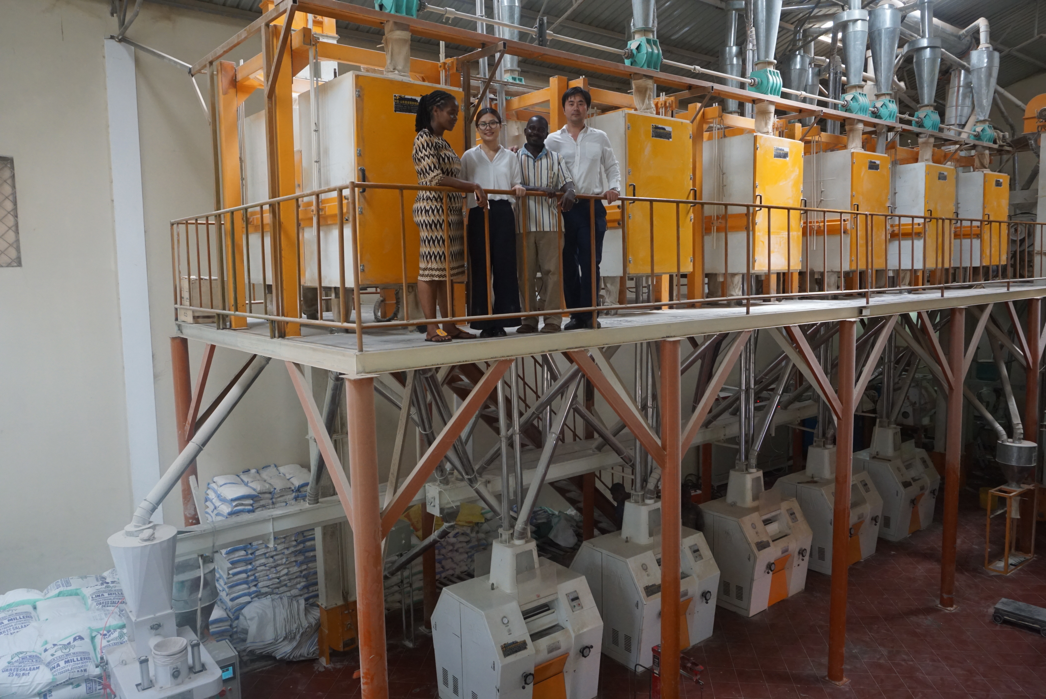 FMFQ-60T maize mill machine