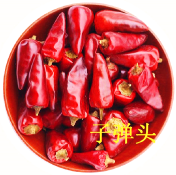 Bullet Chilli