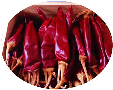 Jinta Chilli