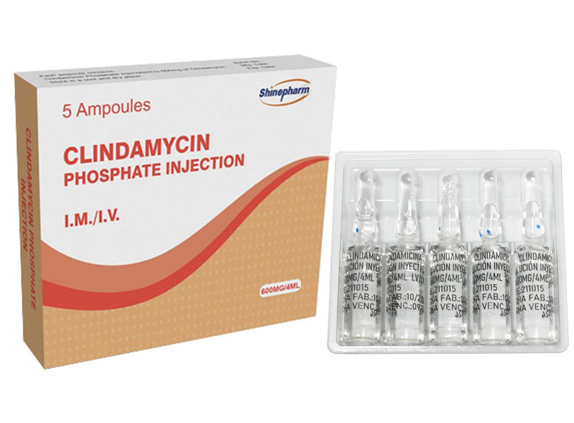 Clindamycin Phosphate Injection 600mg/4ml