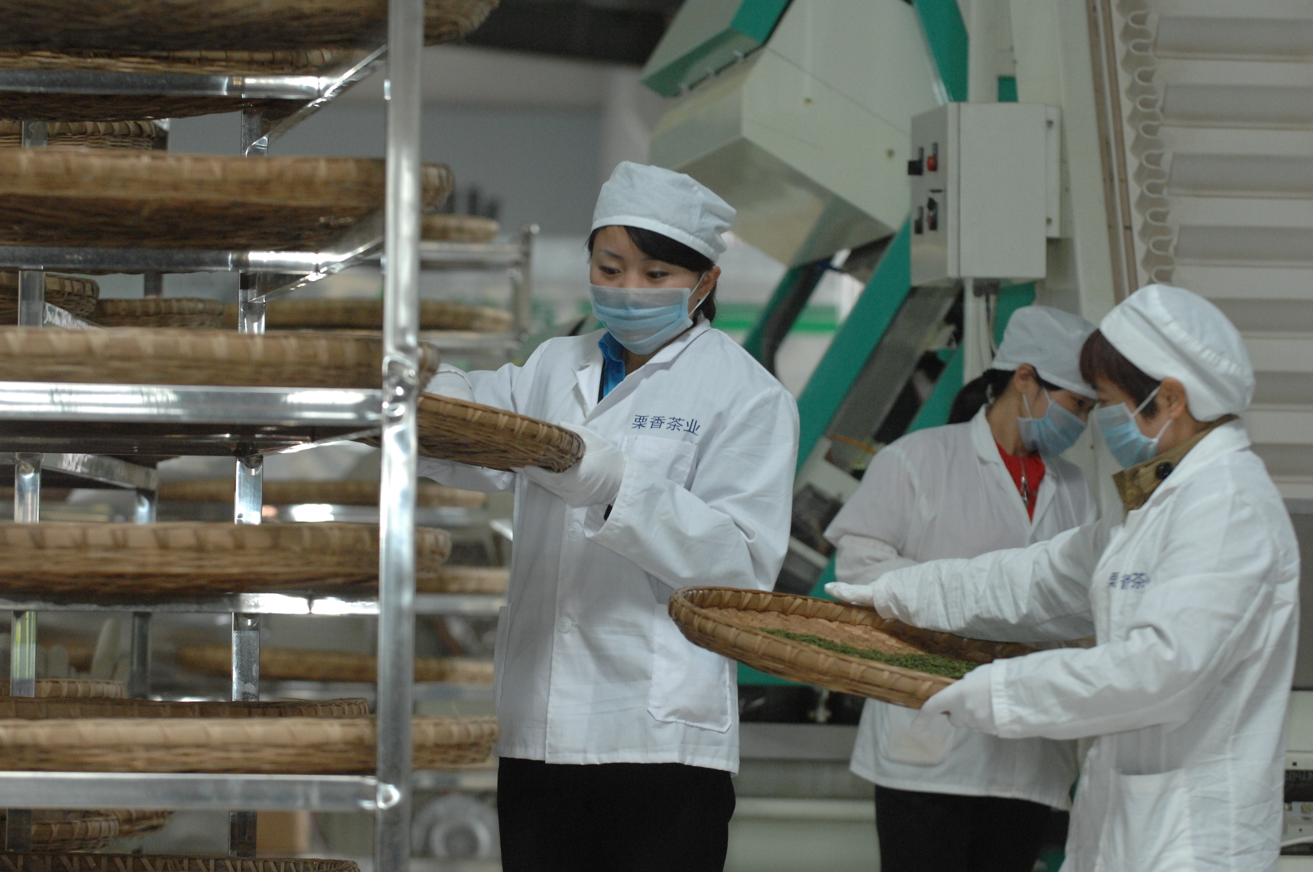 Guizhou Meitan County Lixiang Tea Industry Co., Ltd. – Photos produits 3