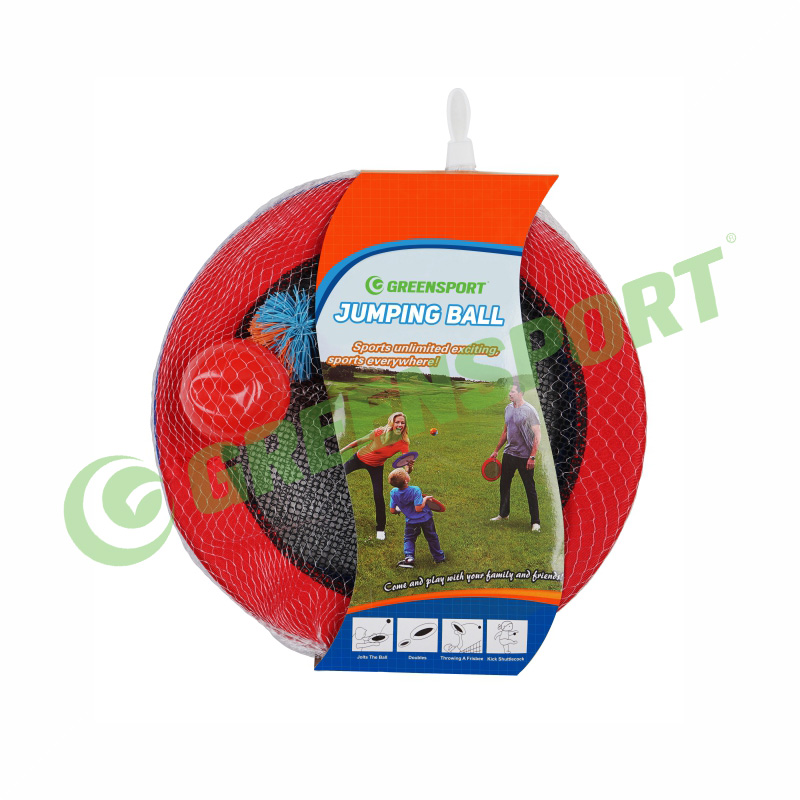 Bouncy disk ball set