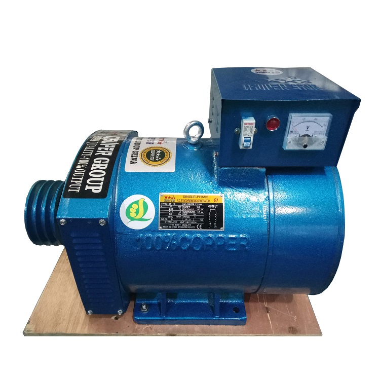 Single-Phase Stc Alternator AC Synchronous