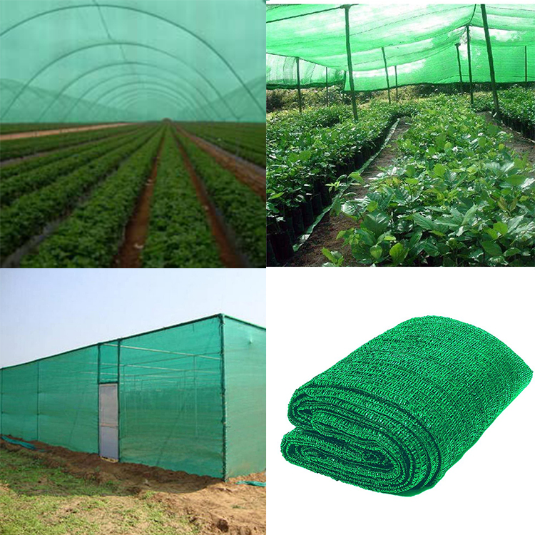 Green shade net