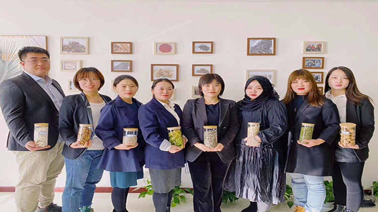 Hohhot Oujì Trading Co., Ltd. – Pumpkin seeds 1