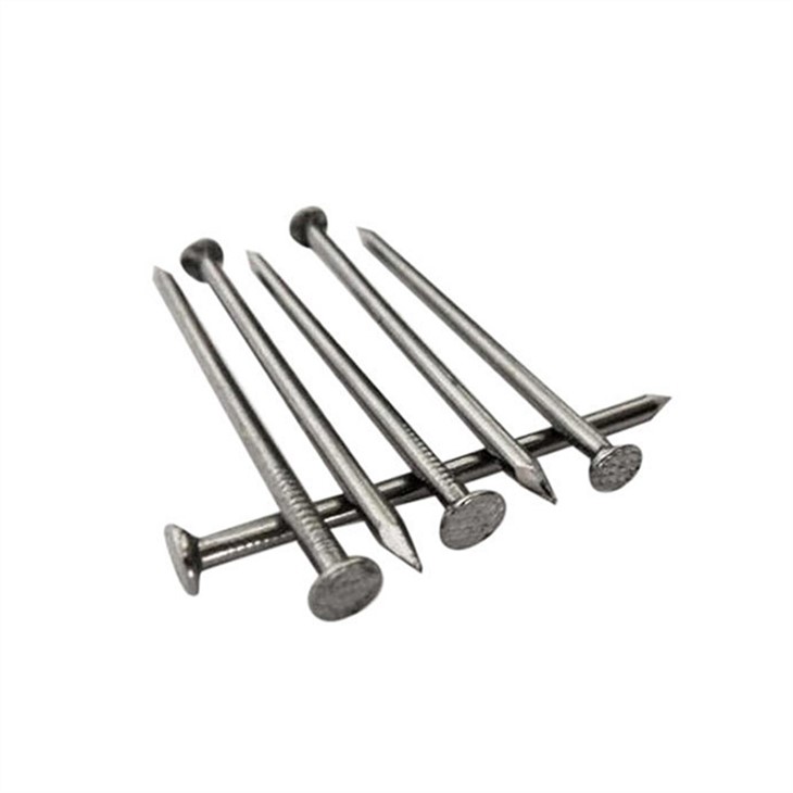 Polished Common Nails