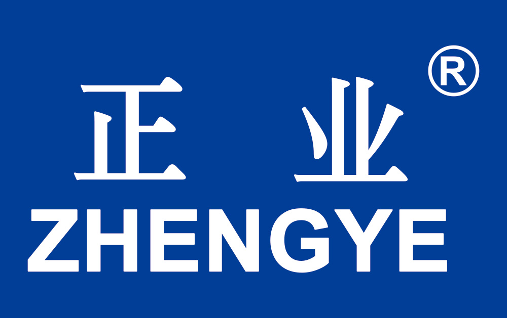 Guangzhou Zhengye Technology Co., Ltd.