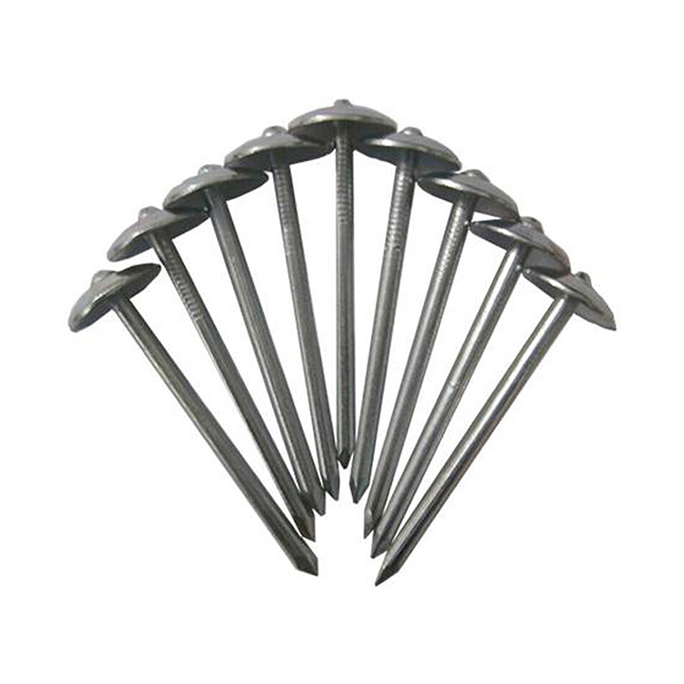 Smooth Shank Roofing Nails