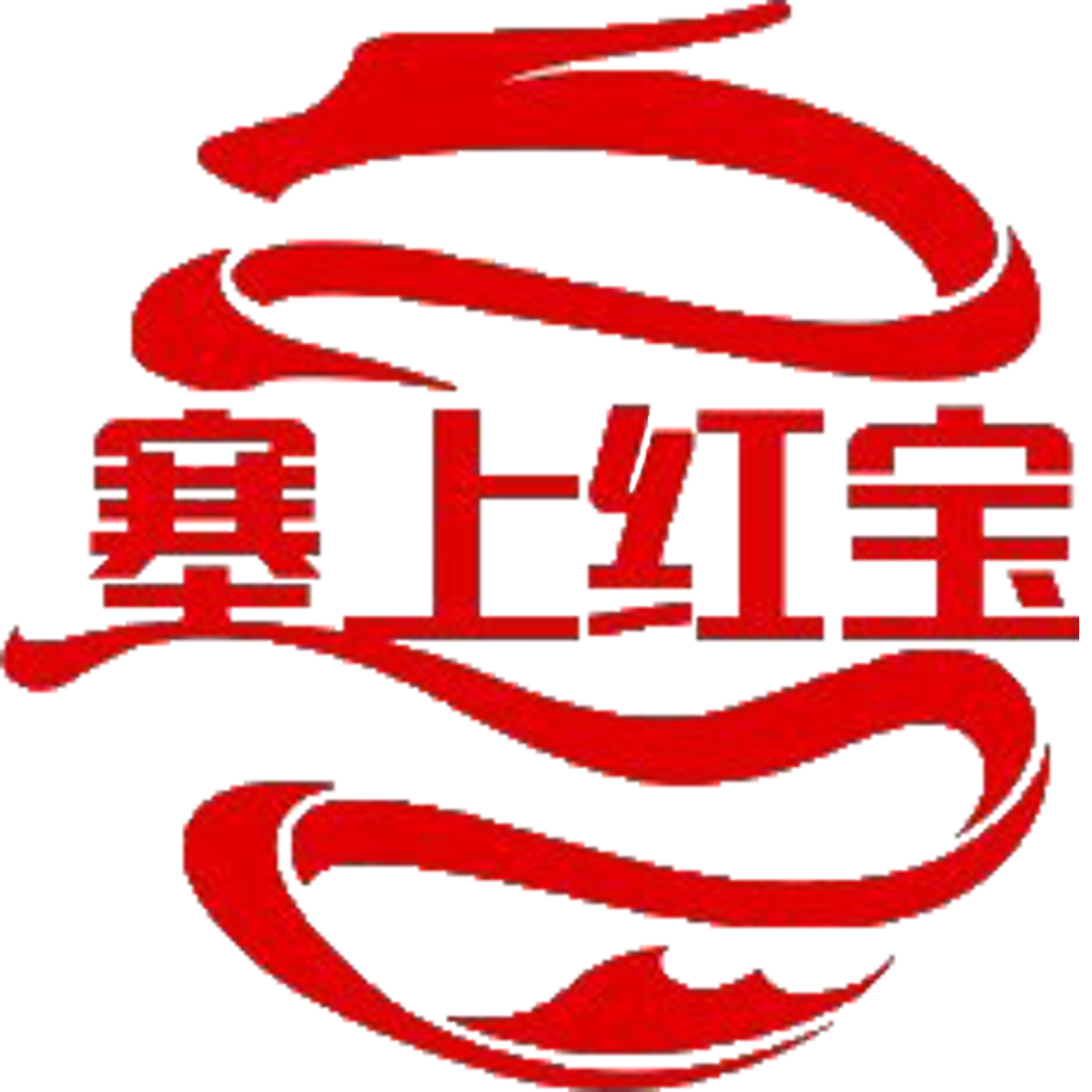 Ningxia Saishanghongbao Pearl Agriculture Technology Co., Ltd.