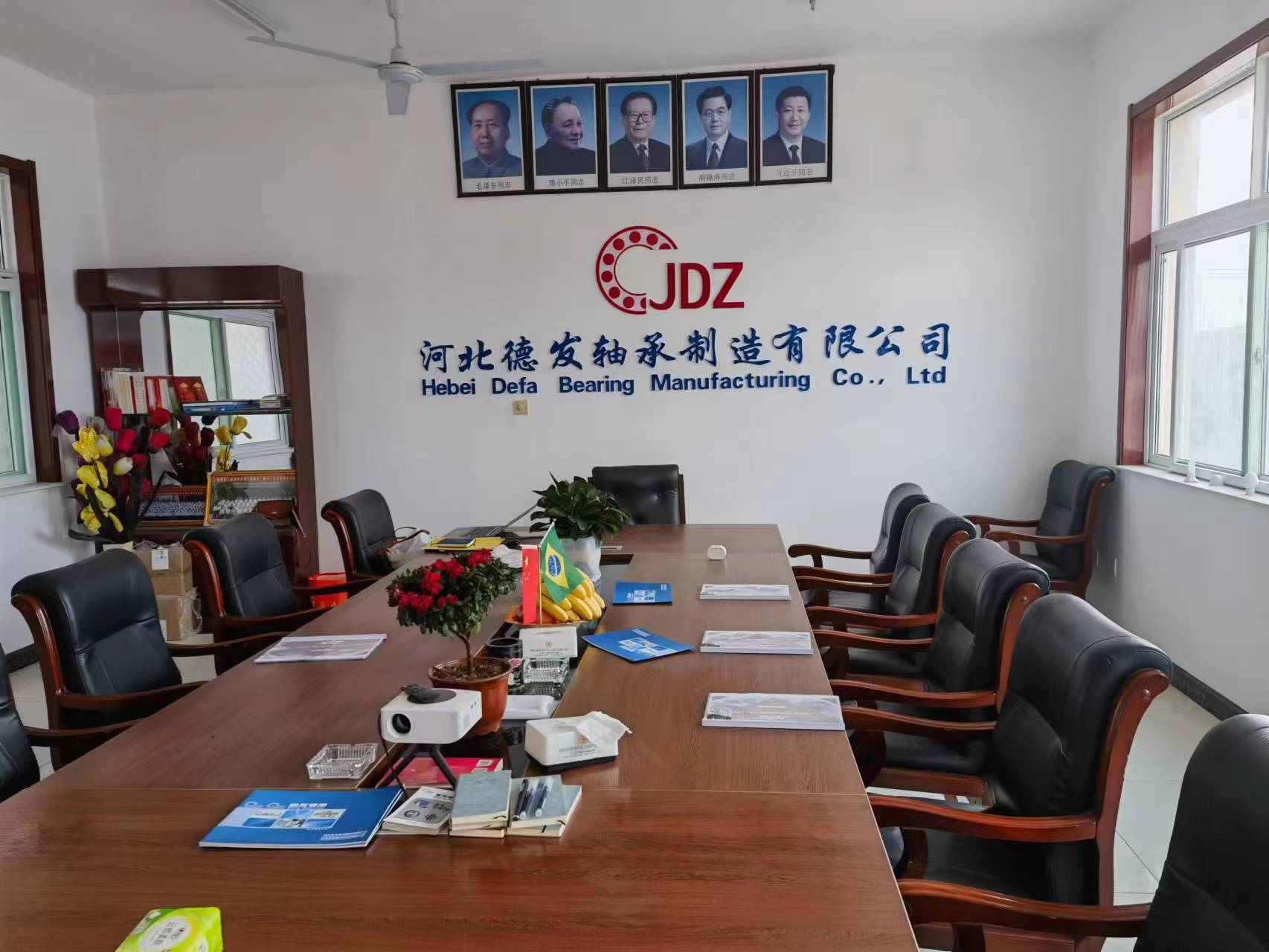 Shandong Defa Bearing Co., Ltd. – needle roller bearings 2