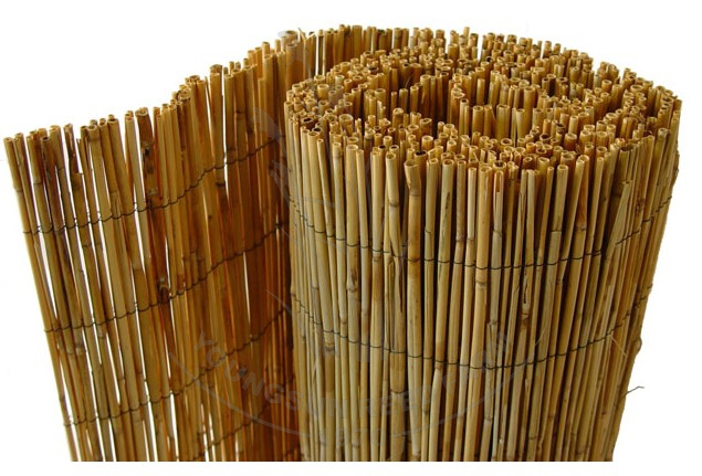 Reed Fence