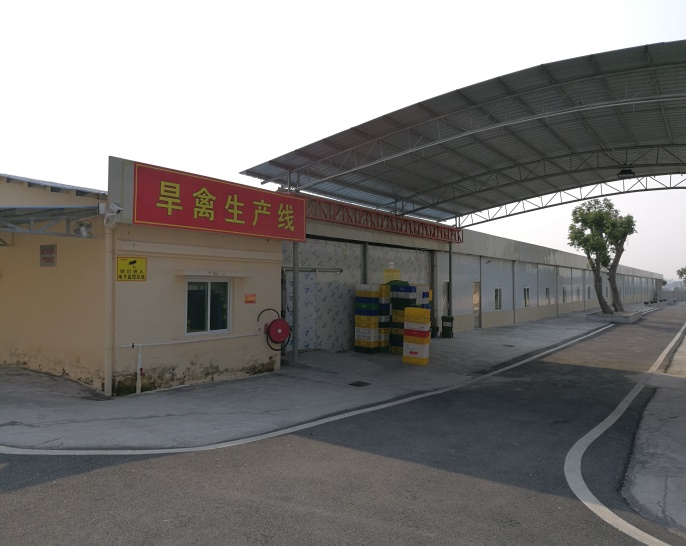 Zhuhai Zhenmeng Meat and Poultry Co., Ltd. – poultry 2