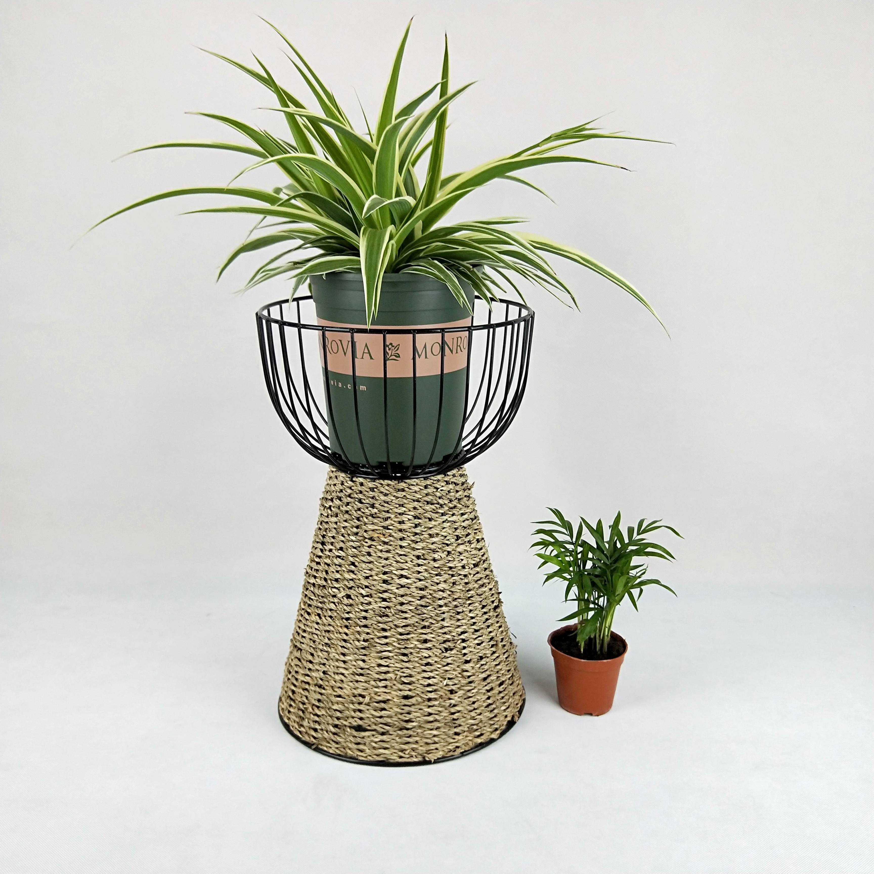 Guangxi Bobai Yinlin Handicrafts Co., LTD. – Straw storage 2