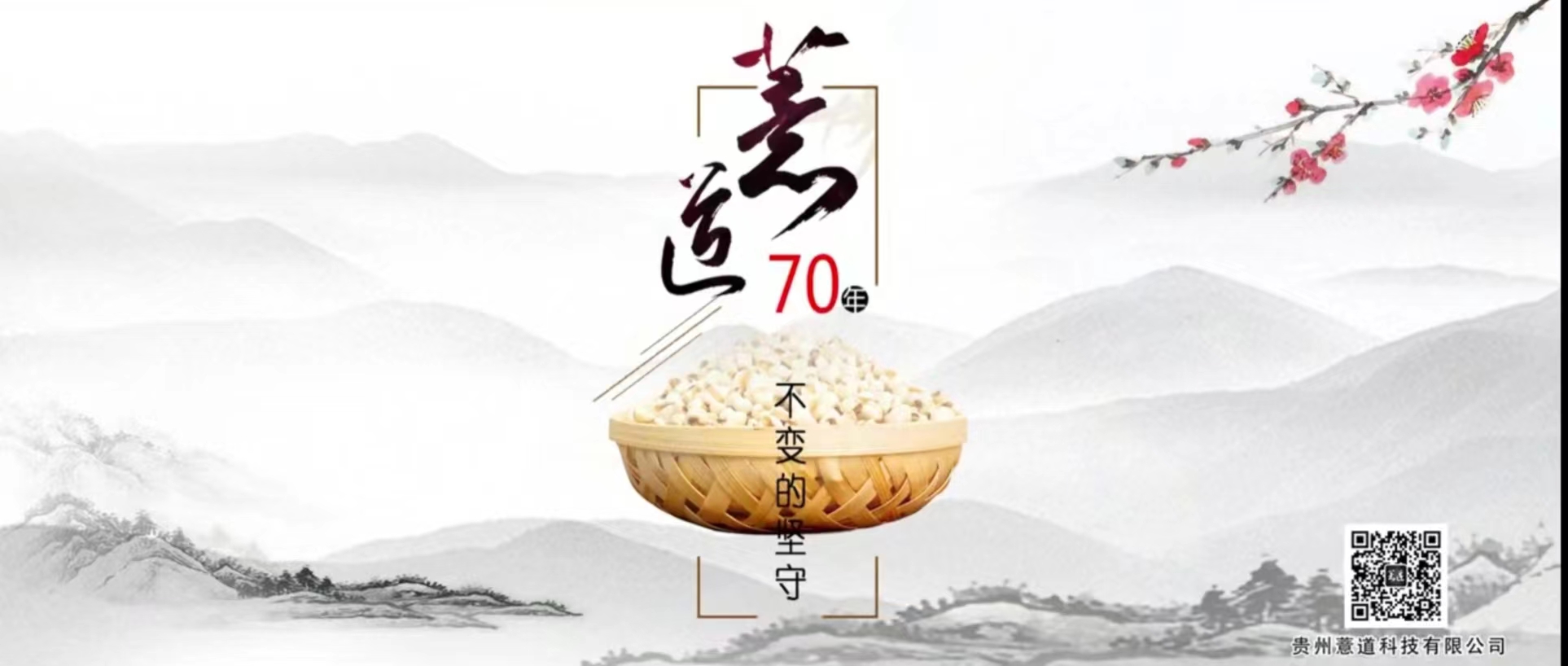 Guizhou Yidao Technology Co., Ltd. – café molido 1