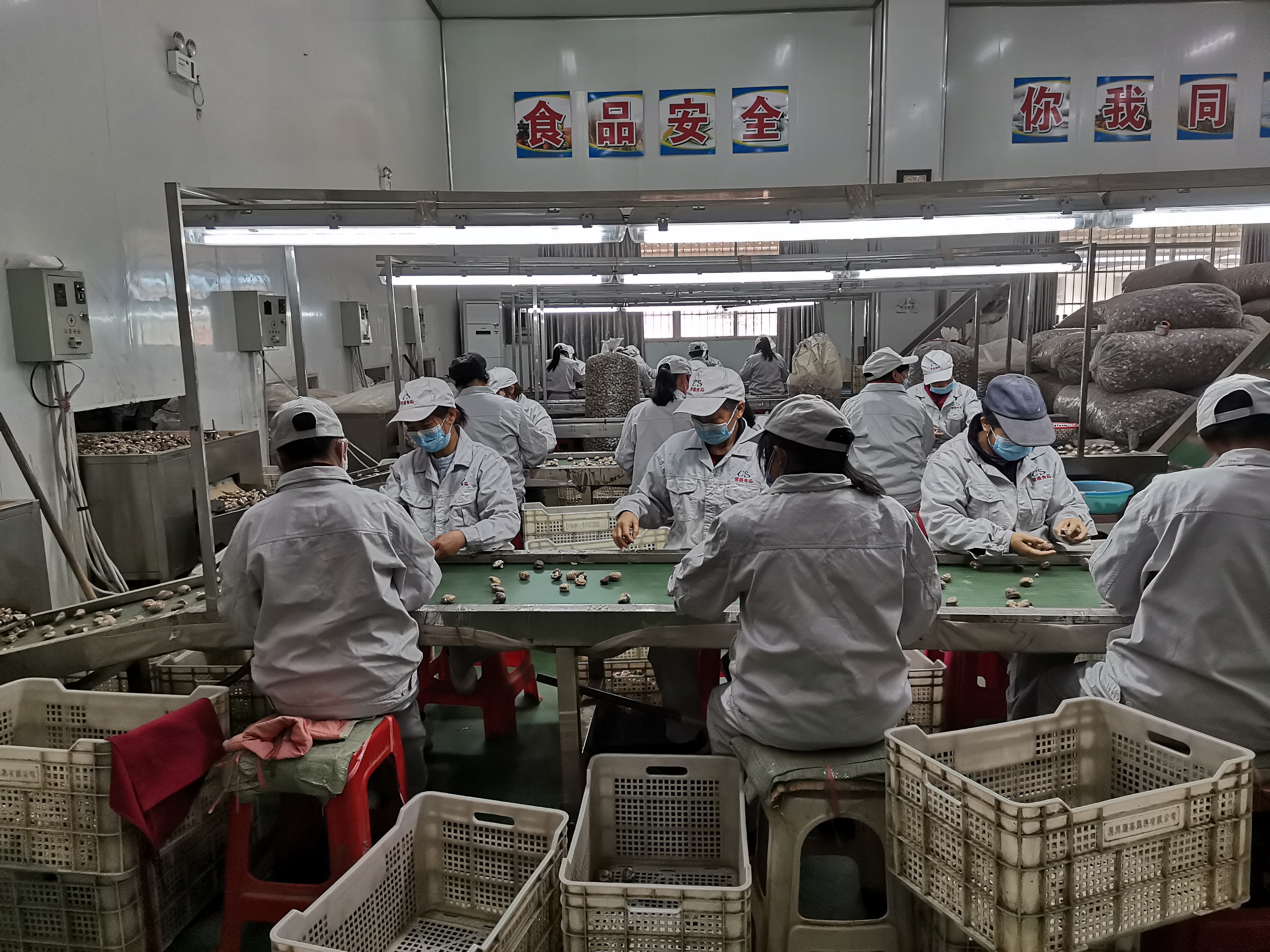 Suizhou Changsheng Food Co., Ltd. – Photos produits 2