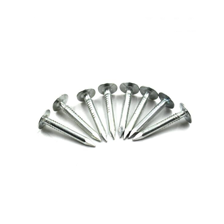 Galvanized Flat Head Clout Nails