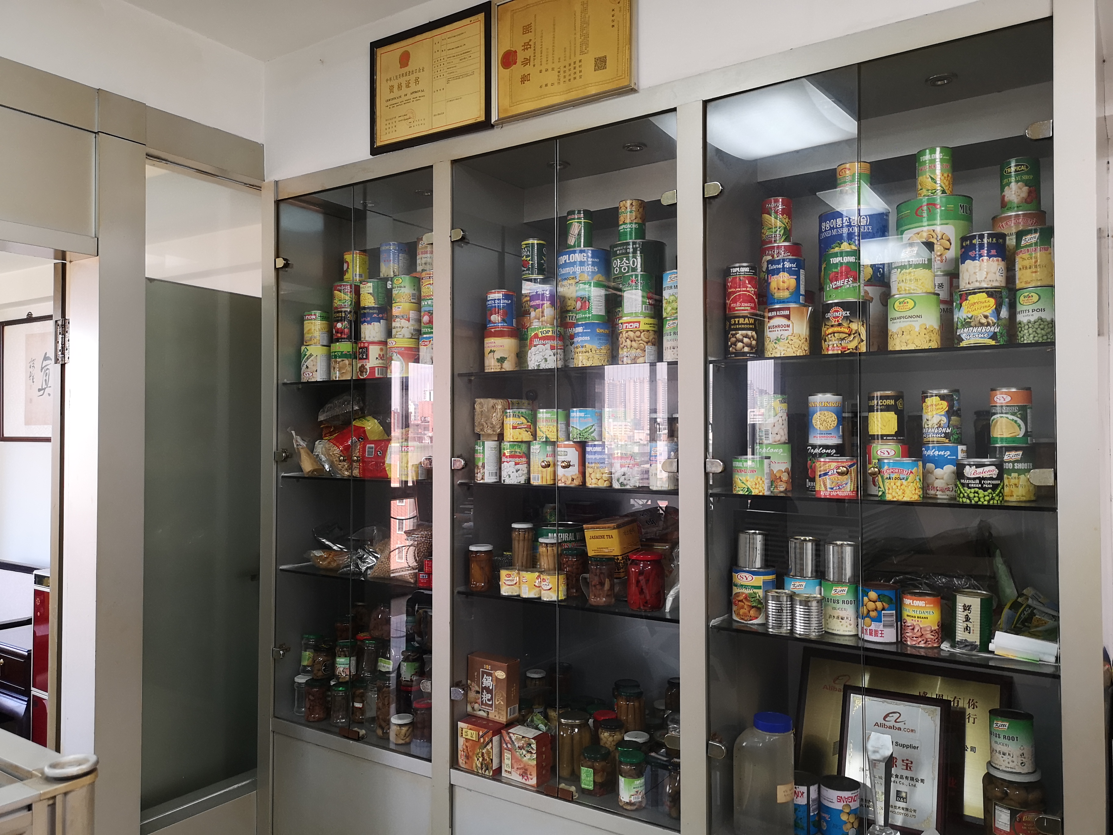 Zhangzhou Xiangcheng Tuolong Food Co., Ltd. – canned mushrooms 2