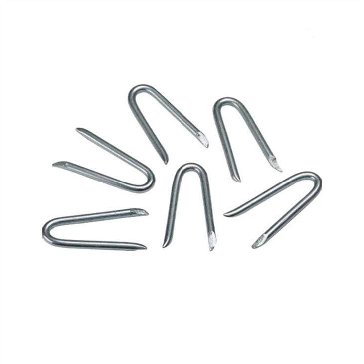 Galvanized U Shaped Nails