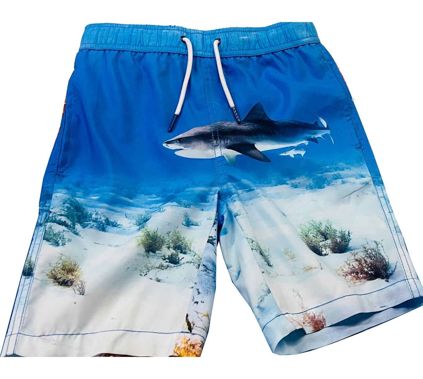 Boy's Shorts