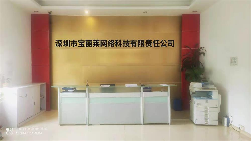 Shenzhen Polaroid Network Technology Co., Ltd. – Other automotive electrical products 1