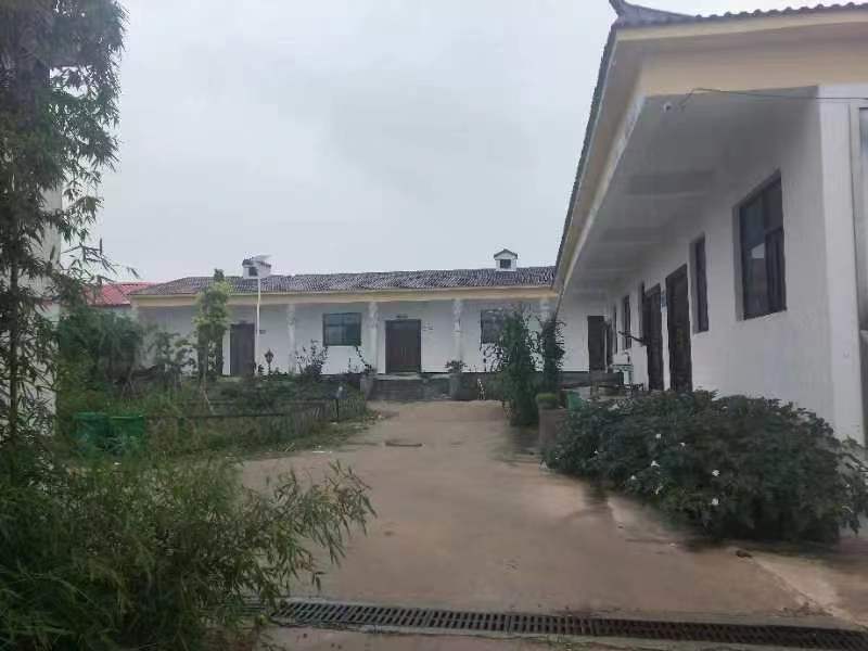 Luoyang Jiayiding Clothing Co., Ltd. – tela de algodón 1