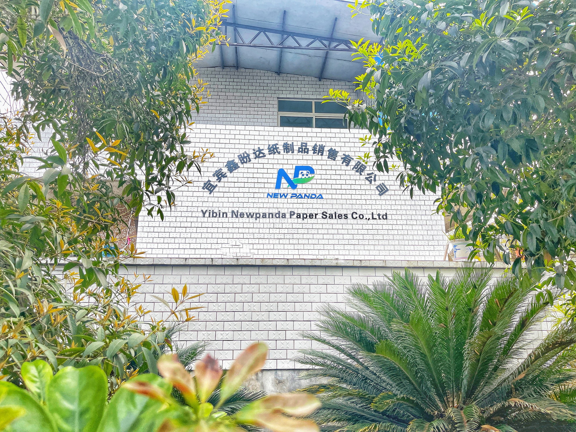Yibin Xinpanda Paper Products Sales Co., Ltd. – Paper cups/cans 1