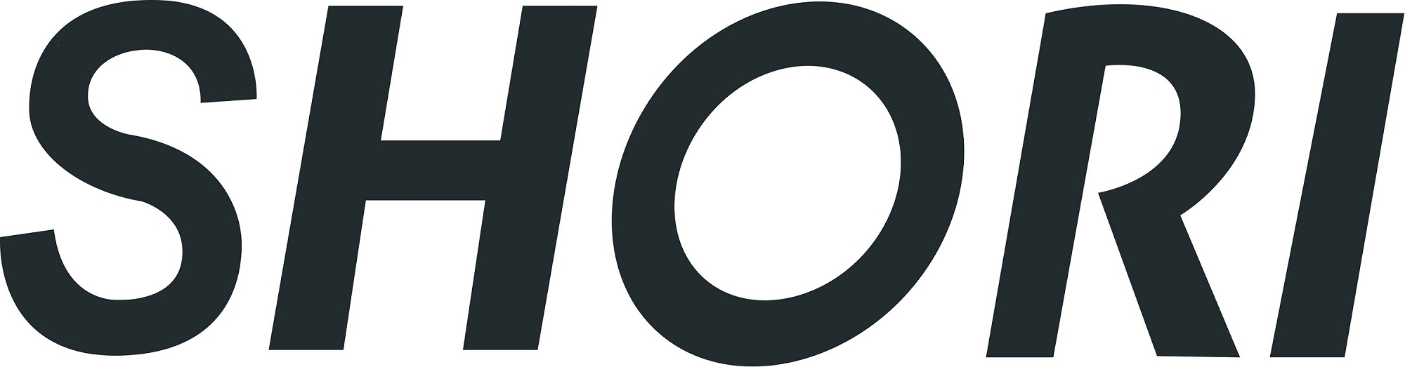 Jianghua Shengrui Electronics Co., Ltd.
