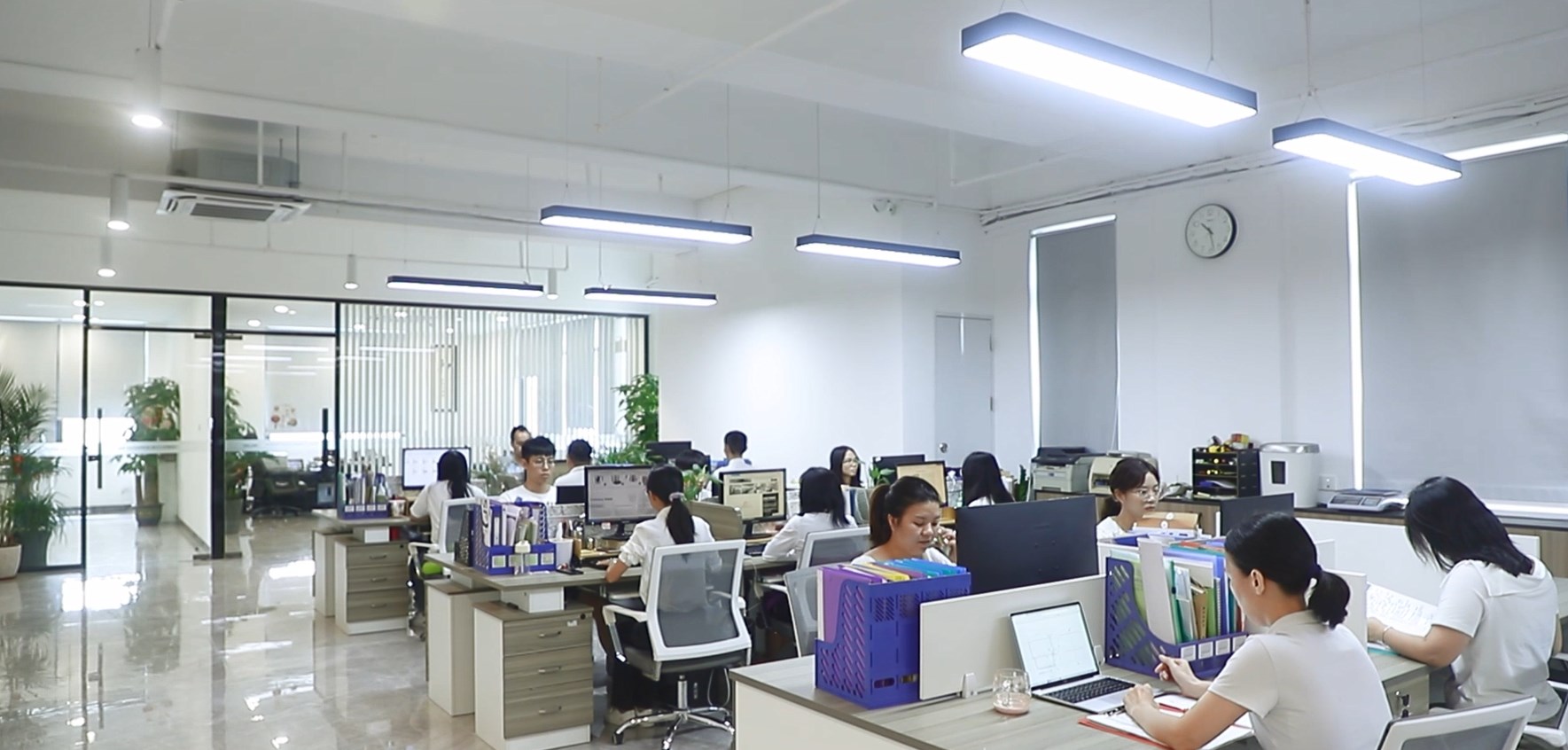 Jiangmen Zhenye Home Products Co., Ltd. – té negro 2