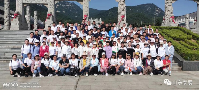 Shandong Taizhan Electromechanical Technology Co., Ltd. – pastilla de freno 2