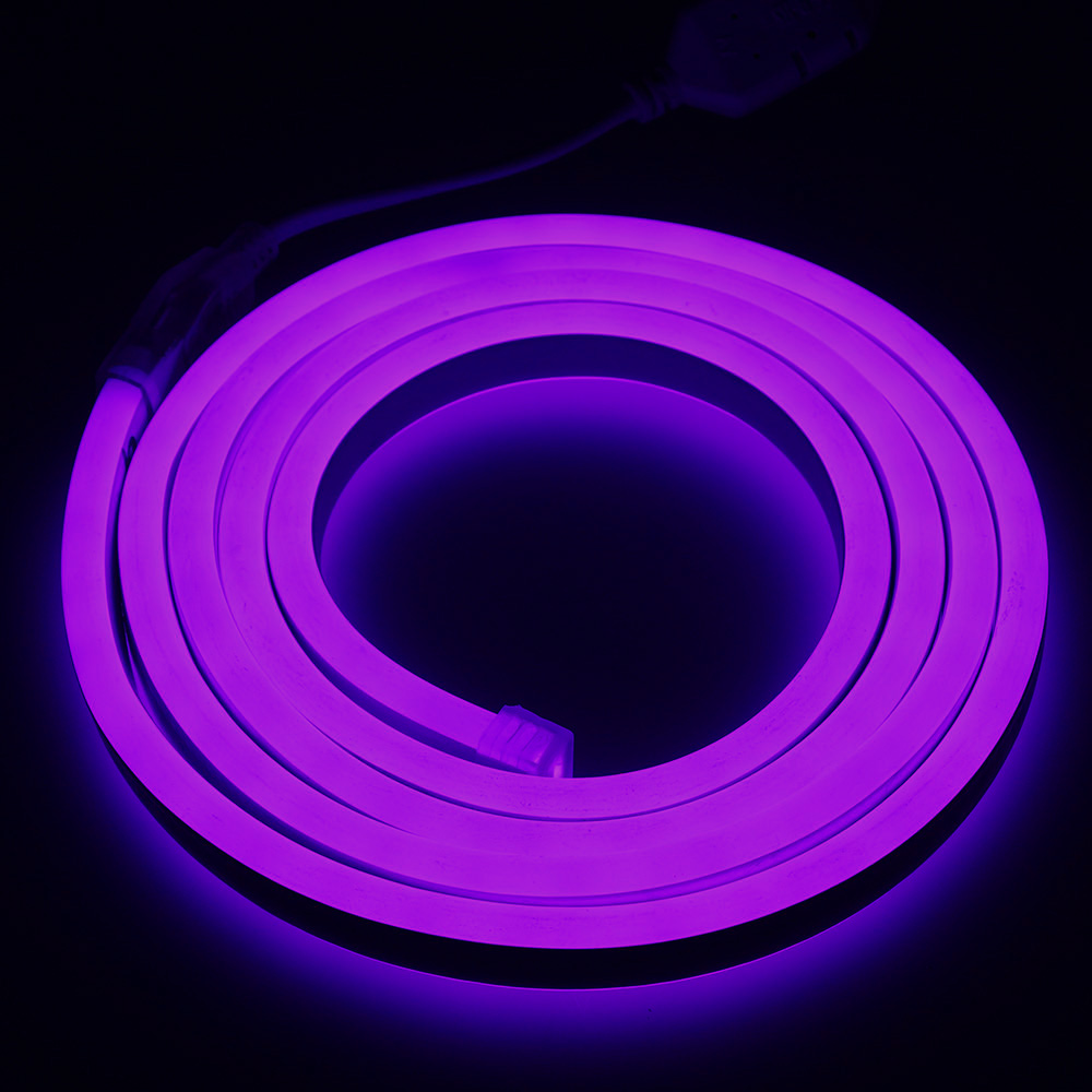 Holiday RGB DIY Flex Strip LED Neon Light Custom Neon Sign Lighting Decoration Led