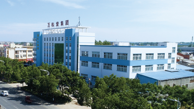 Hubei Wansong Tang Health Pharmaceutical Group Co., Ltd. – Healthy granular tea 1