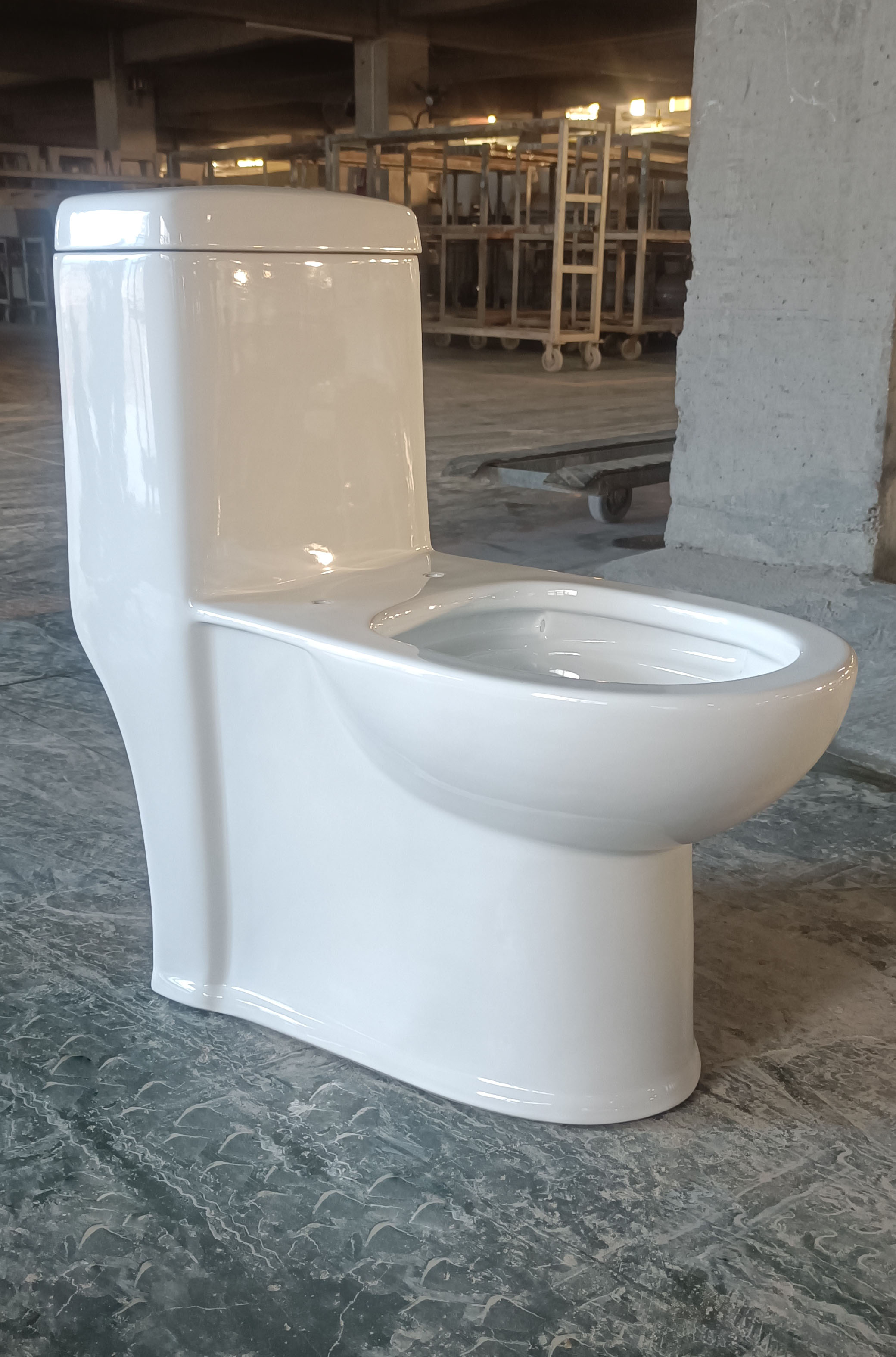 One-Piece Toilet