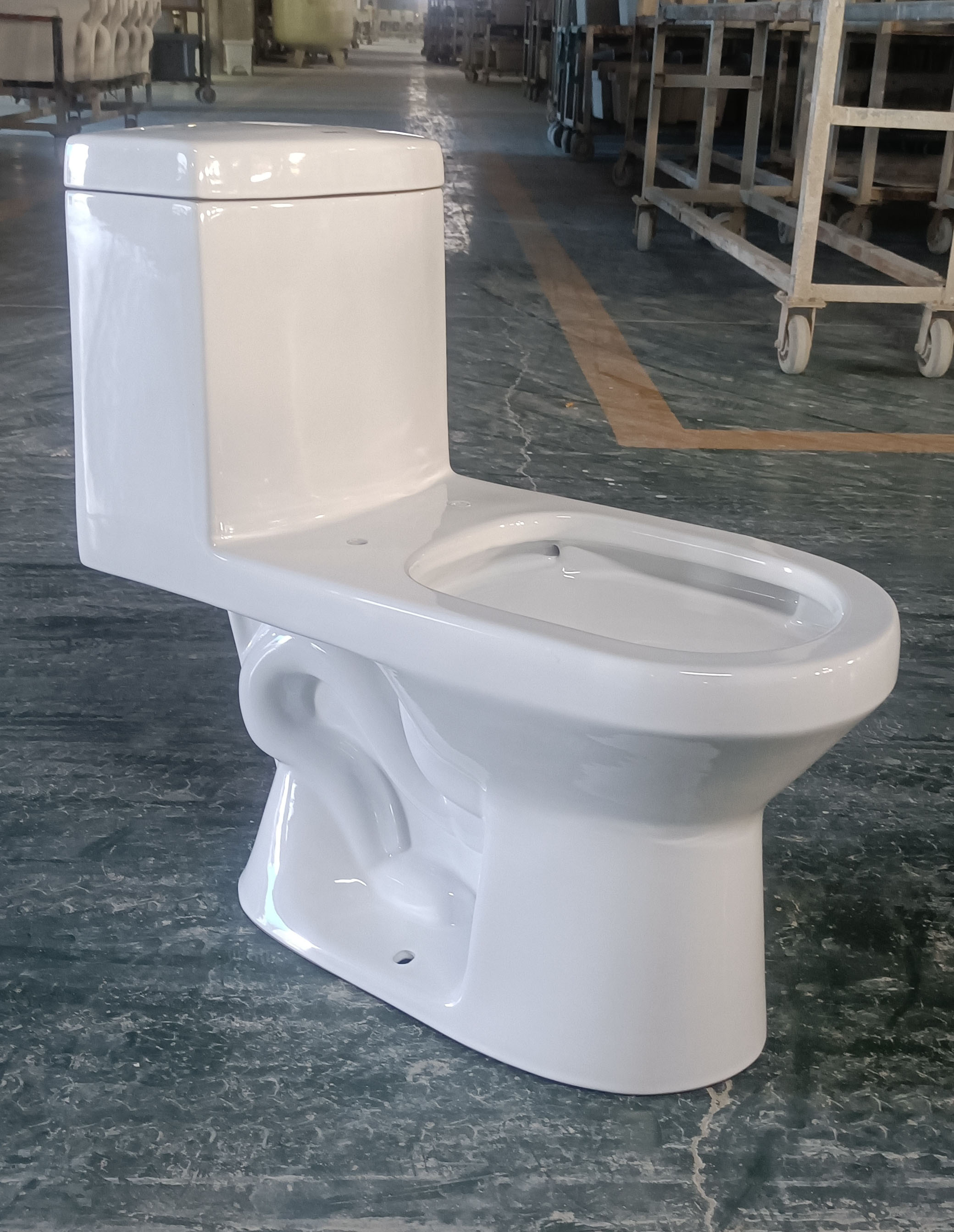 One-Piece Toilet