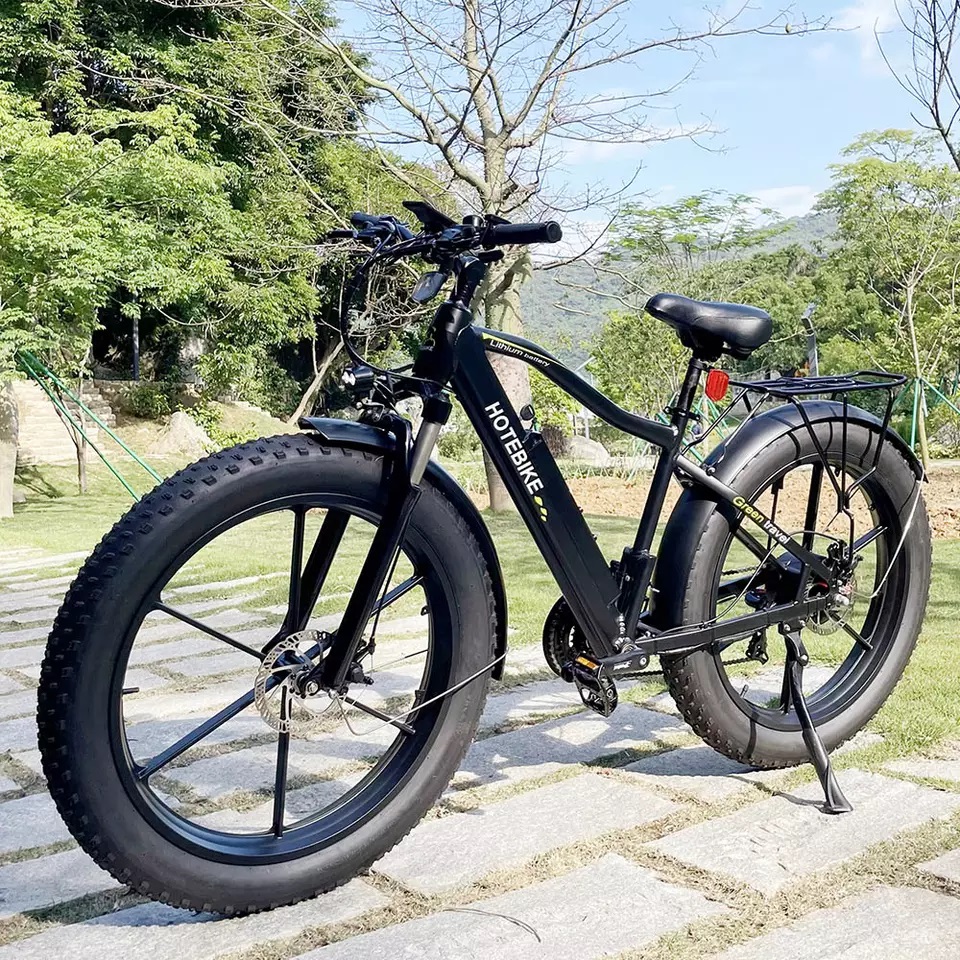48v Electric Hybrid Bike