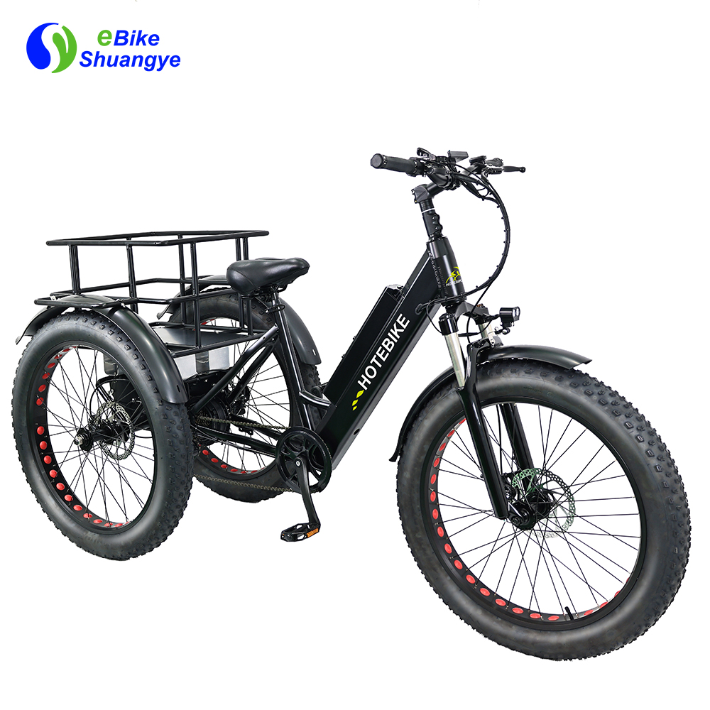 26inch 250 350 500 750-watt motor electric tricycle