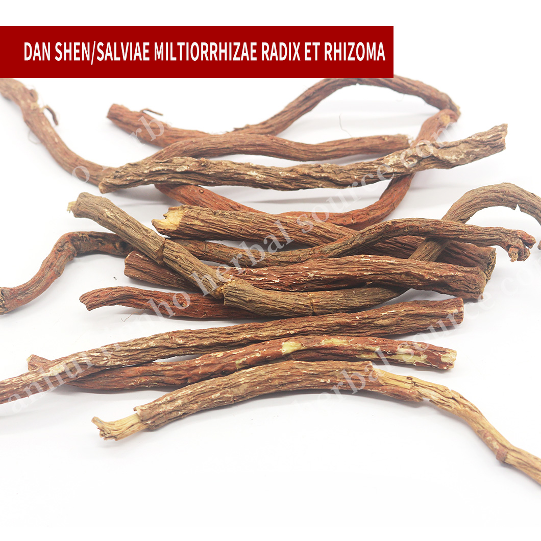Salvia Miltiorrhiza