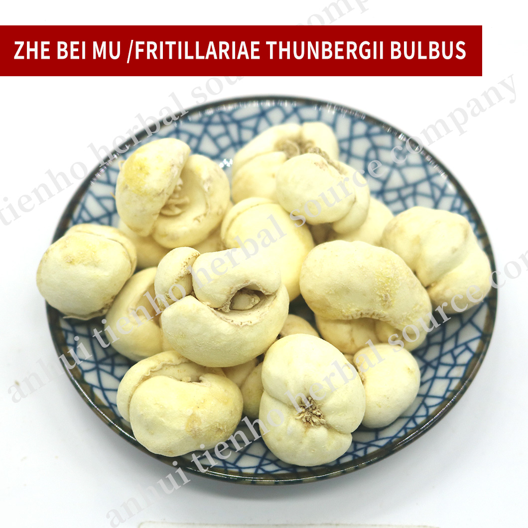Thunberg Fritillary Bulb
