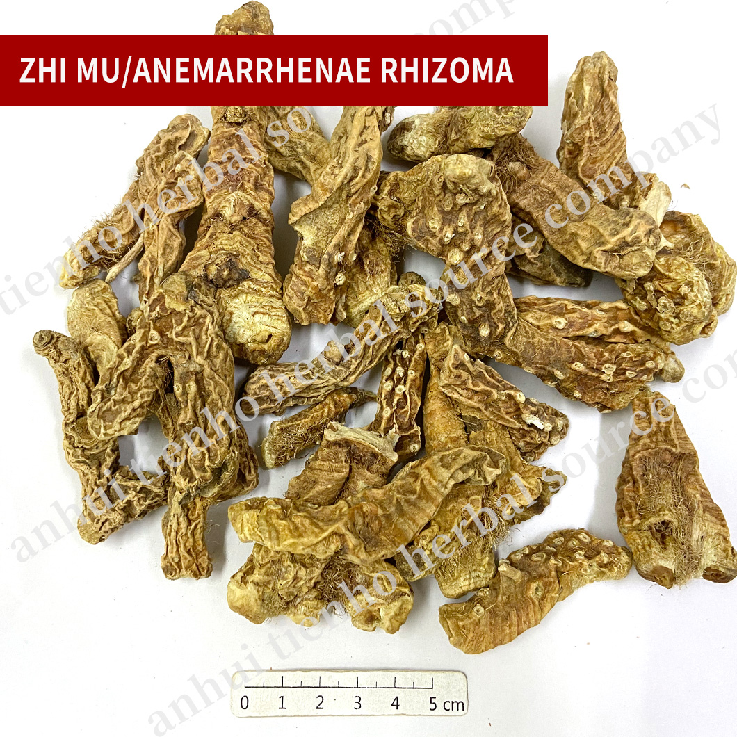 Anemarrhena