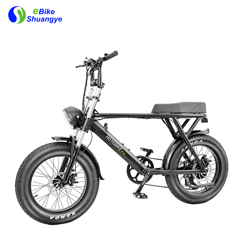 Custom 20 inch 350W 500W 750W 48V brushless fat tire electric bike