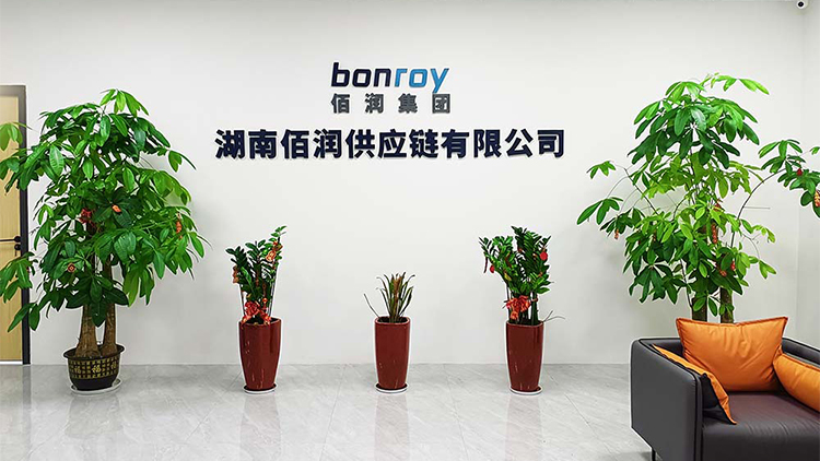 Hunan Bairun Supply Chain Co., Ltd. – Other solar photovoltaic products 1
