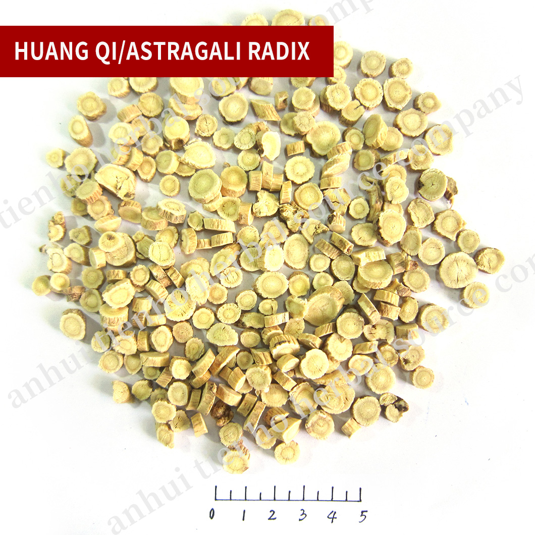 Astragalus