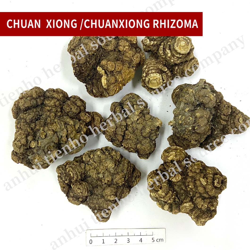 Ligusticum Wallichii