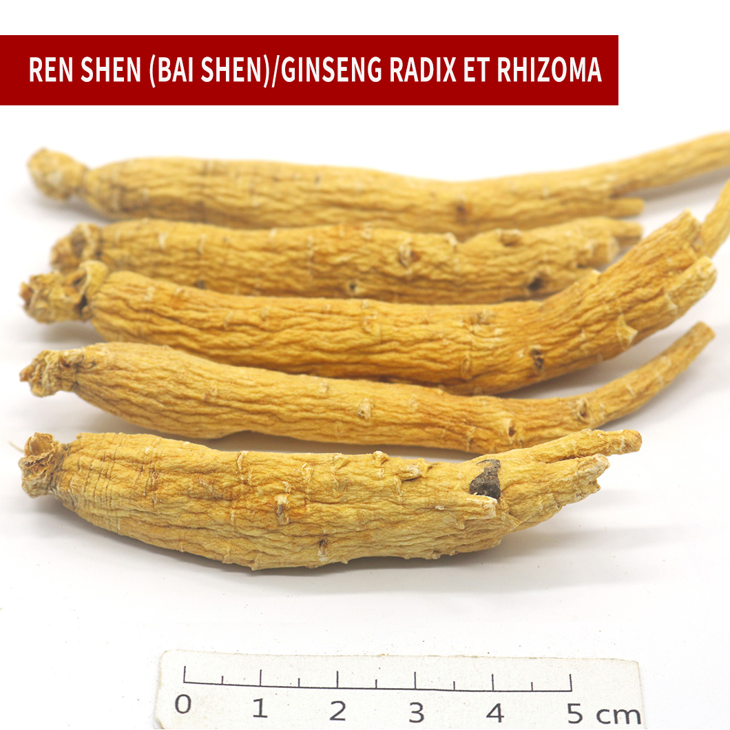Ginseng