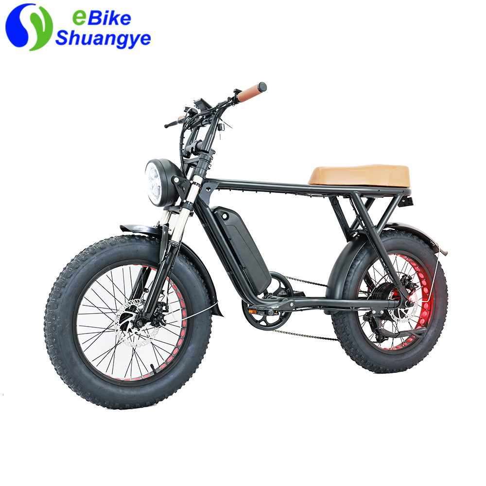 High Powerful Off-Road Fork Suspension Electric Bike
