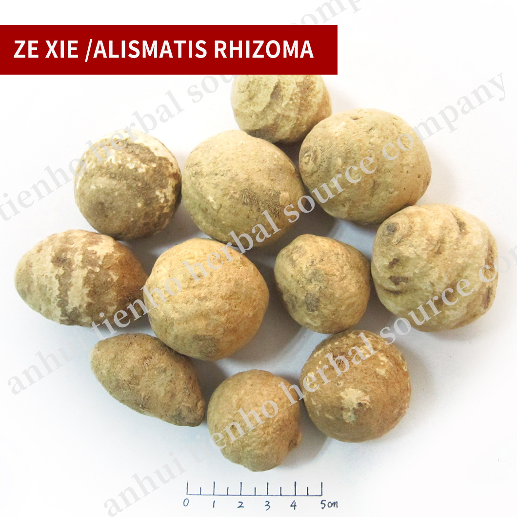 Rhizoma Alismatis