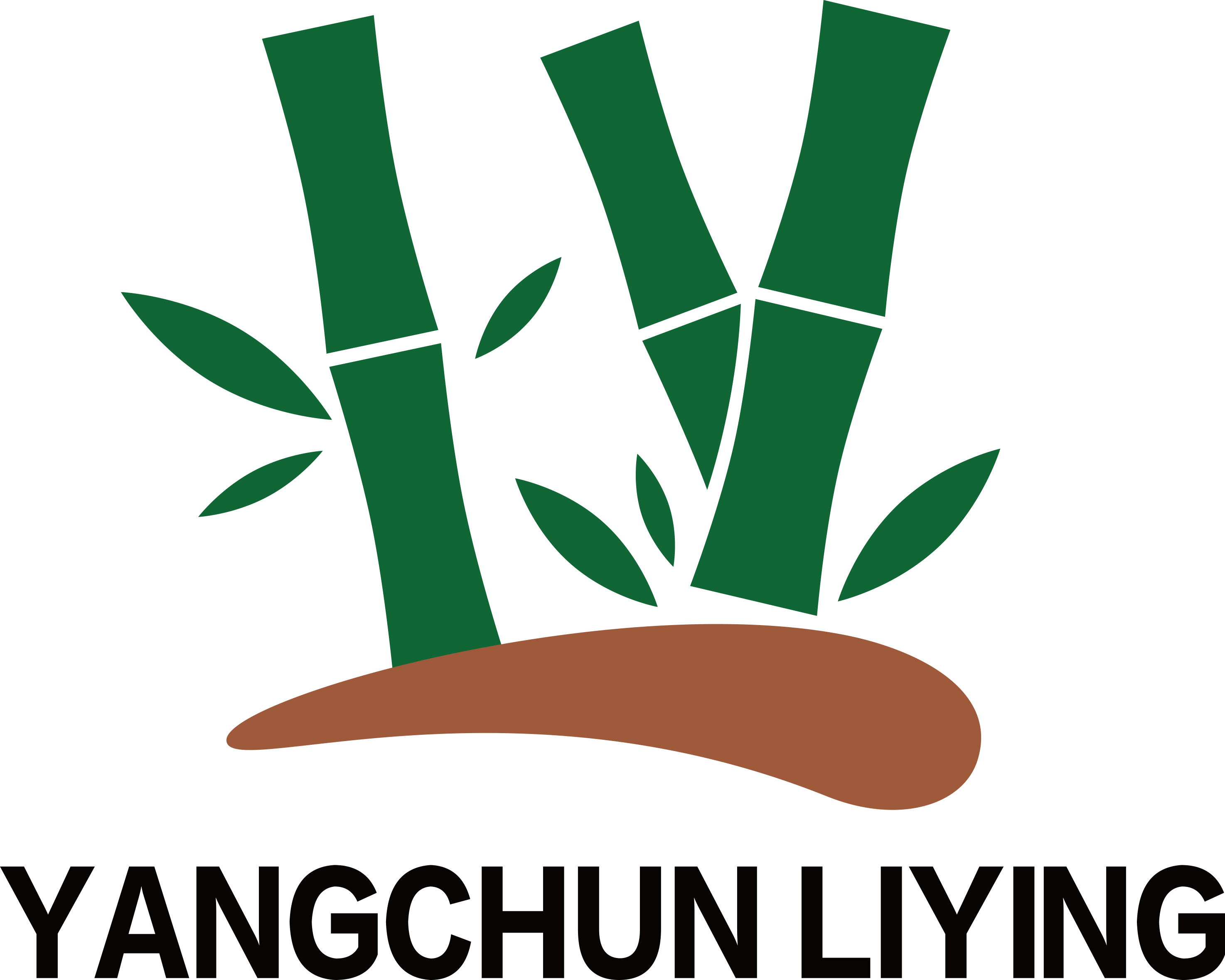 Yangchun Liying Arts and Crafts Co., Ltd.